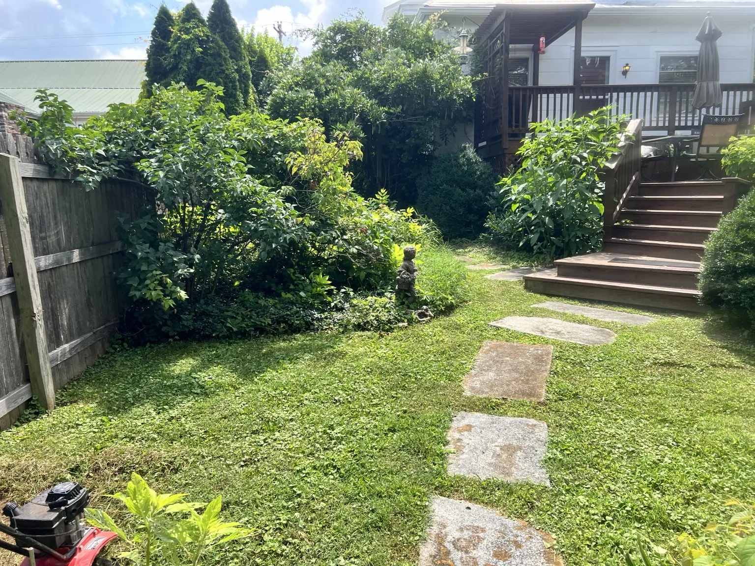 Backyard before Terrain Scapes landscape cleanup and restoration